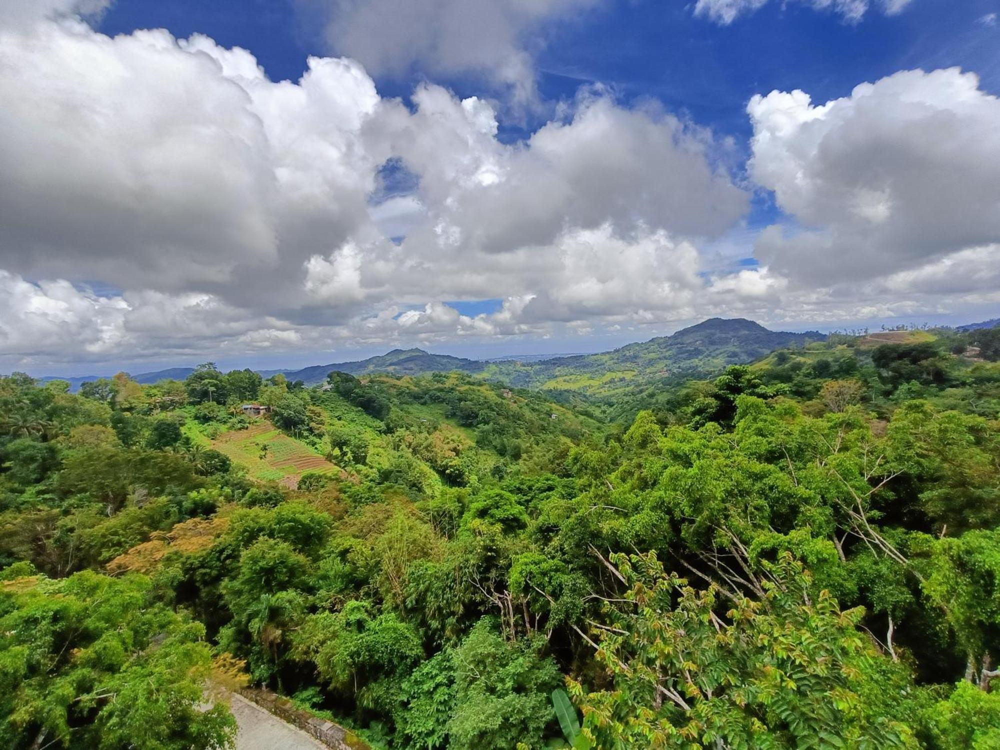 Mist Mountain Resort Powered By Cocotel Cebu Esterno foto